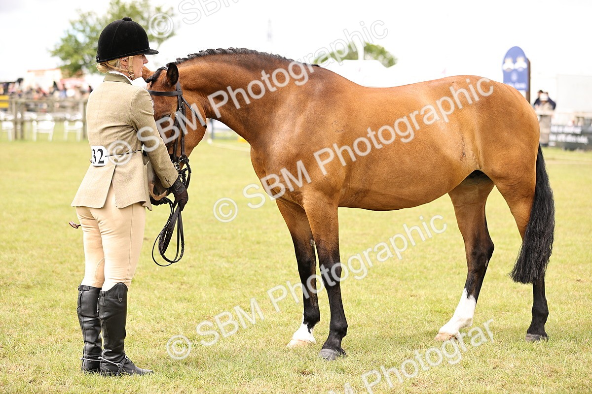 SBM_14605 - Class 88-89 - LIHS BSHA Rising Star of Ridden Hunter Type
