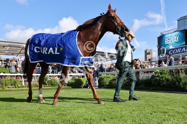 yr08102022r3-69 - Race 3 2.40pm The Coral 'Beaten-by-a-Length' Free Bet Handicap