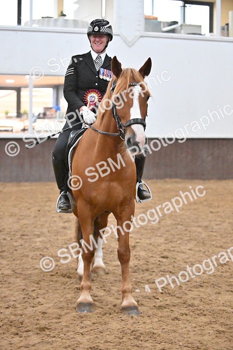 SBM_003040 - Class 37,38 - UKPSAF Performance Horse & Pony
