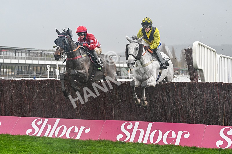 141125-Race 2-Eldorado Allen-9555 - Race 2