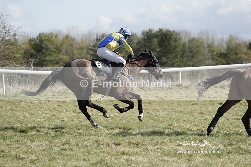 PtP 260223 323 - South & West Wilts Point-to-Point Larkhill 26/02/23