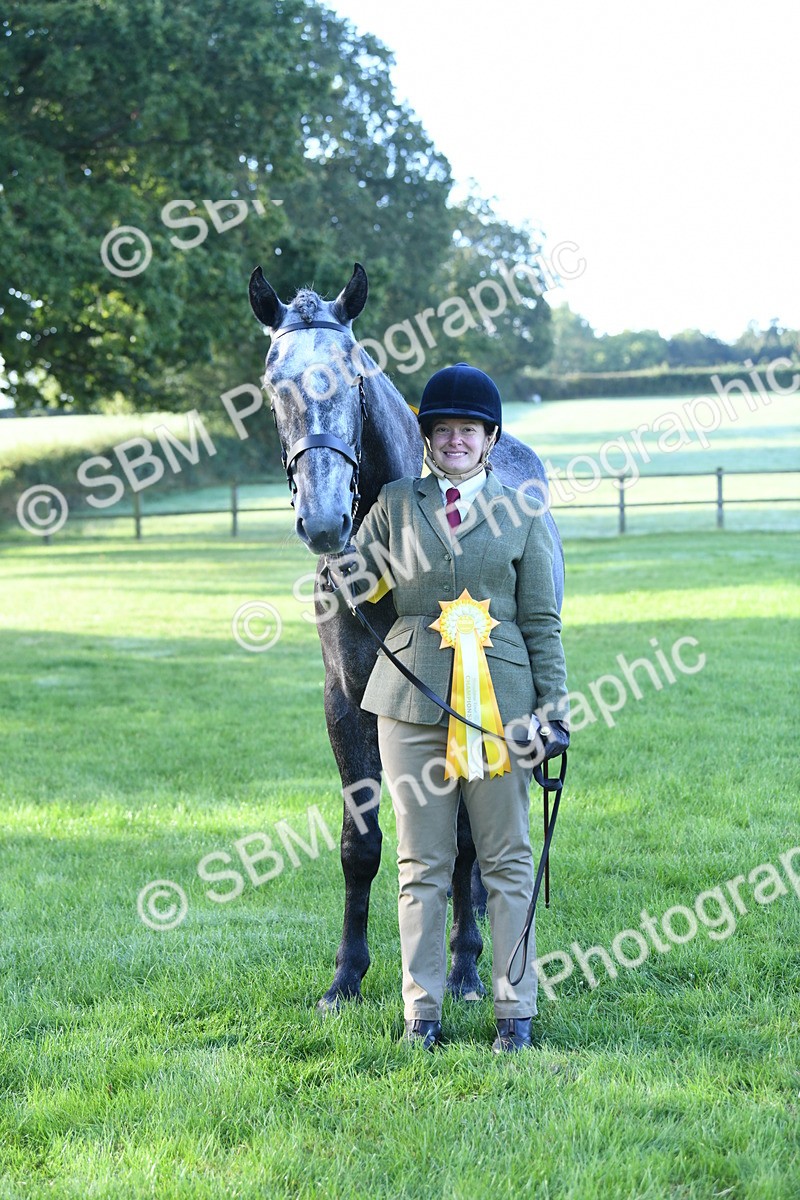 SBM_32823 - S15 - Condition & Turnout In Hand