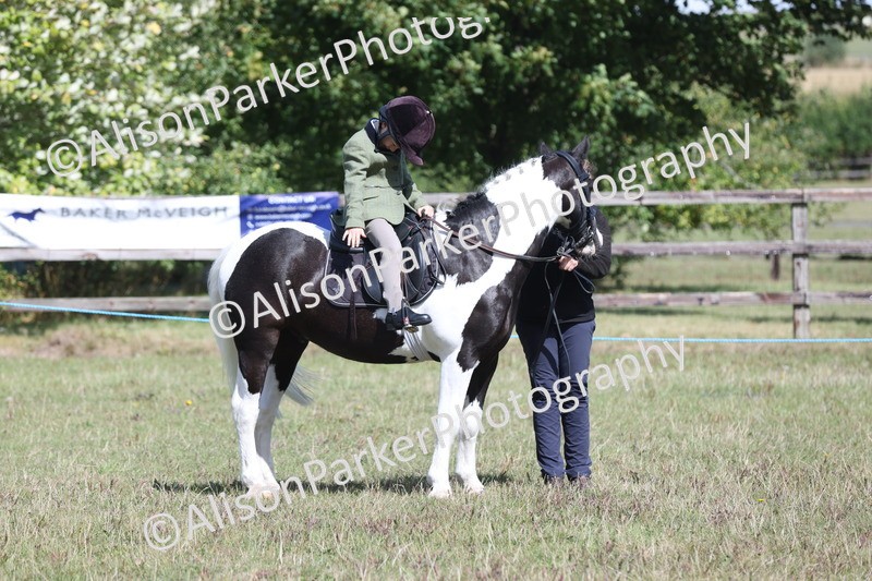 20250831-2674 - Class 17 - Lead Rein Pony
