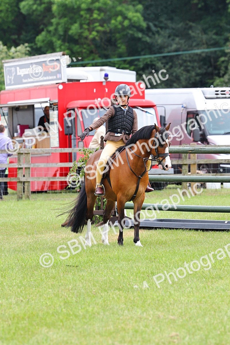 SBM_08617 - Class 42-43 - LIHS BSPS Heritage Working Sports Pony