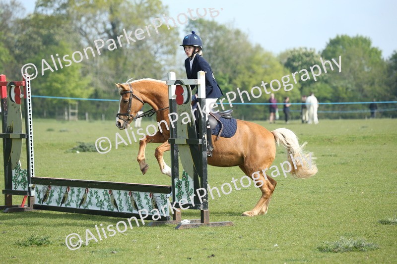 20260426-0148 - Class 13 - Rookie Jumping 50cm