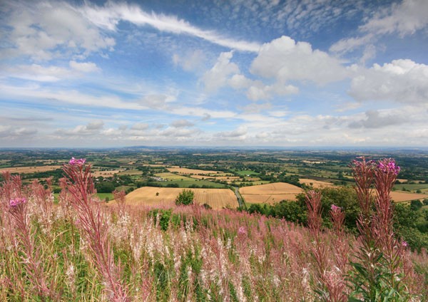 Golden Summer - The Malvern Hills