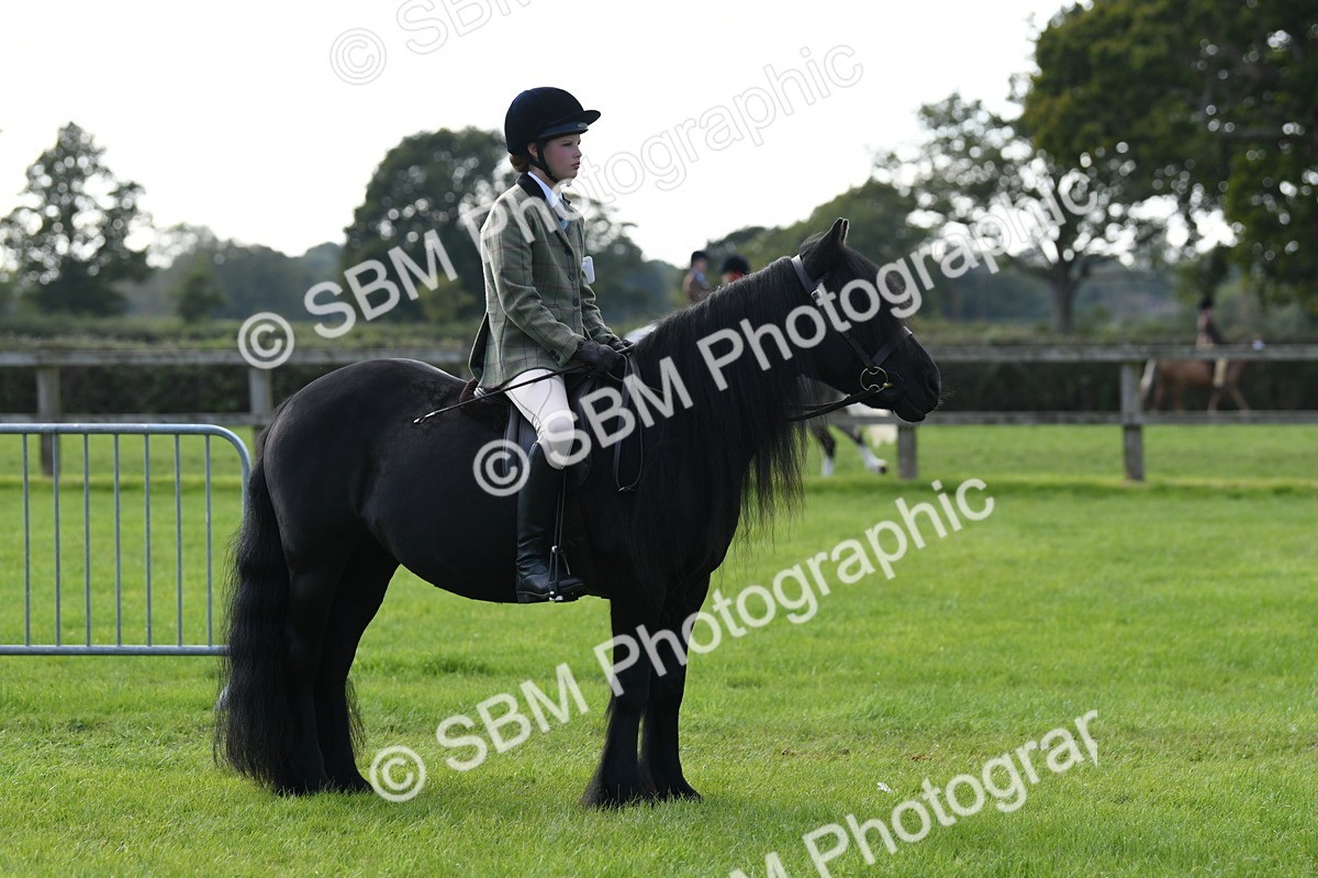 SBM_51874 - S21 - Novice & Newcomers 1st Ridden Pony
