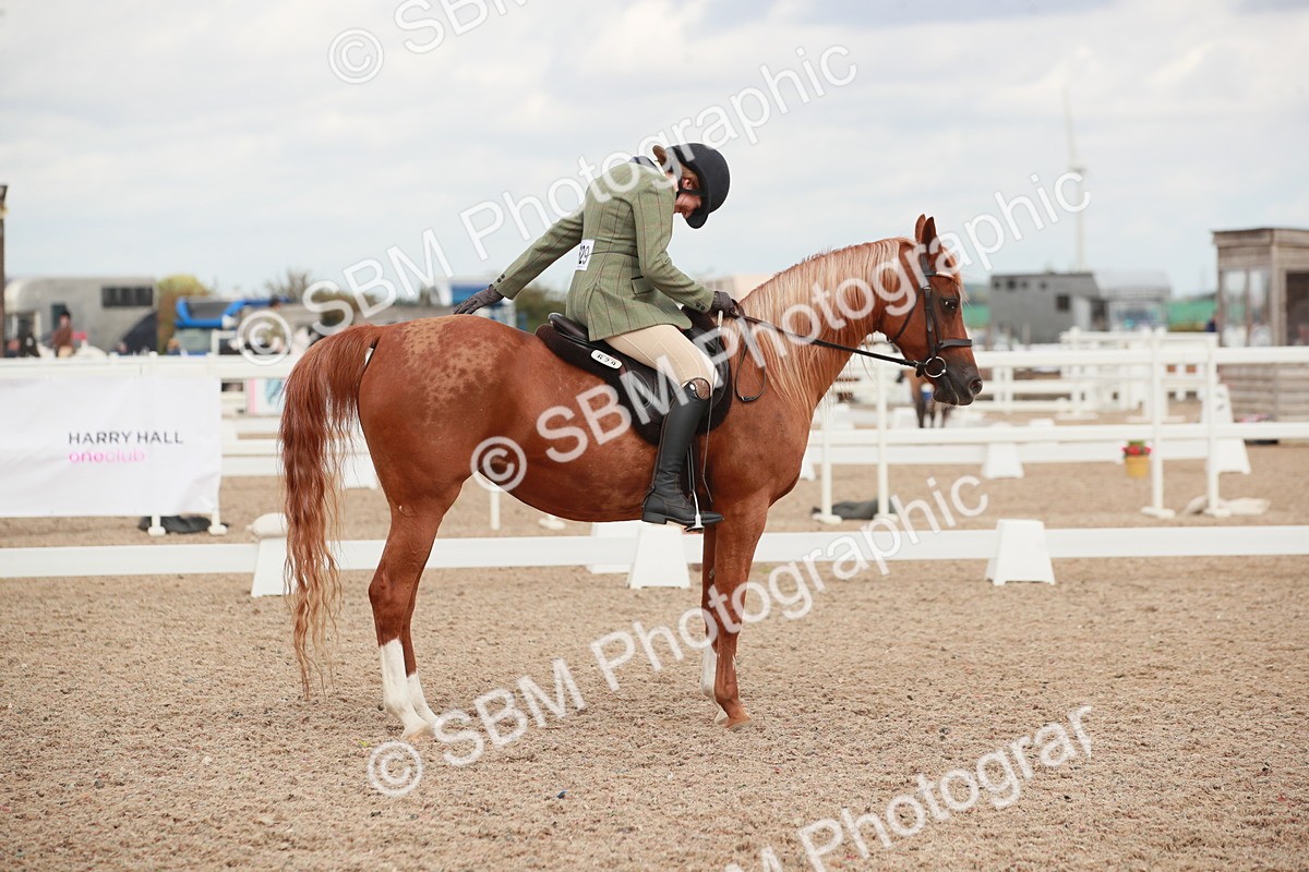 SBM_06011 - Class 32 - Novice 1