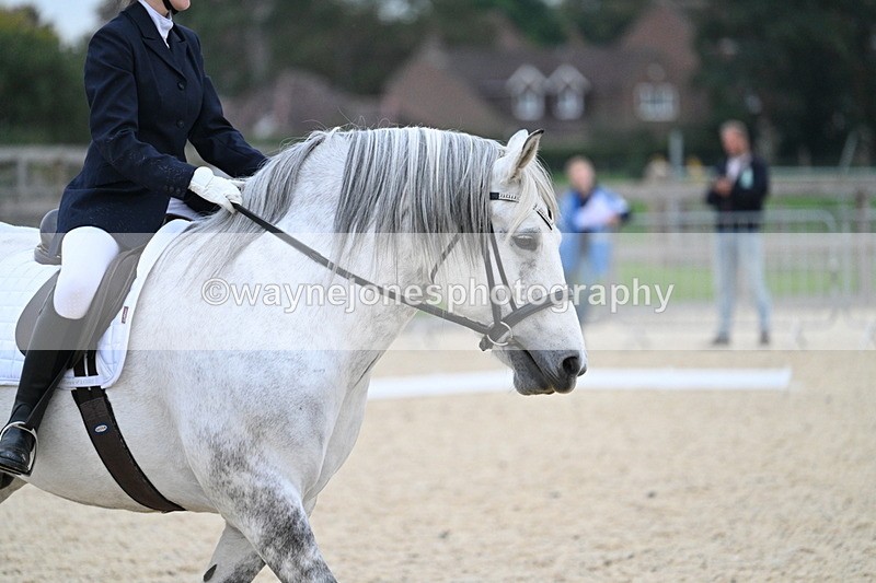 WJ7_2311 - Class 2 & Champs