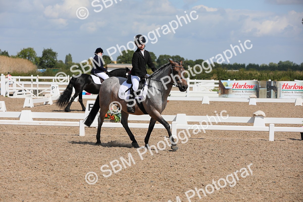 SBM_03991 - Class 31 Prelim 1