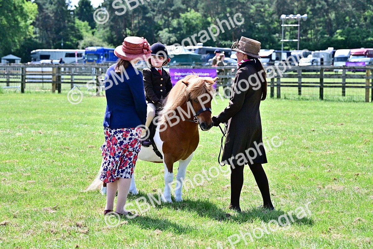SBM_05795 - Class 59-60 - TSR M&M  Lear Rein and First Ridden Amateur of the year