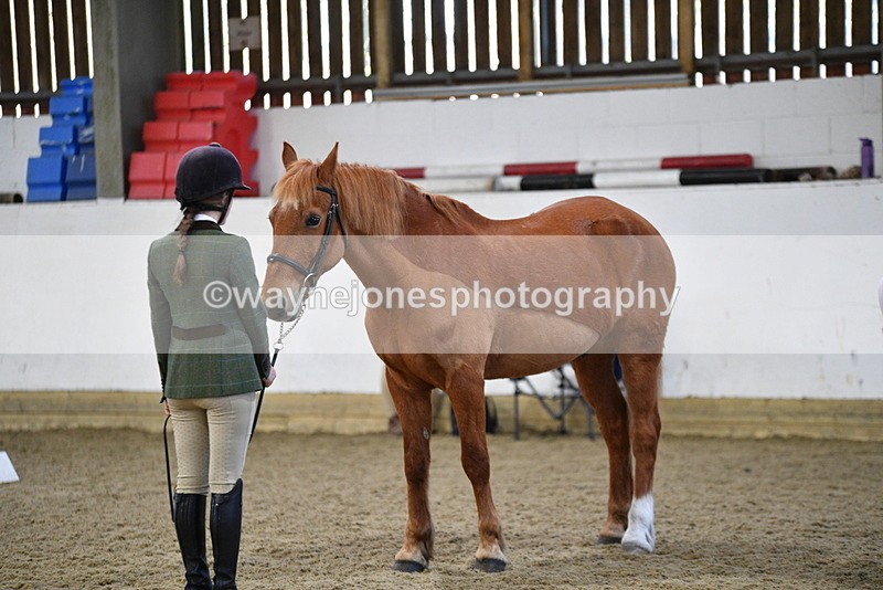 WJ5_3662 - Class 5 In Hand Veterans