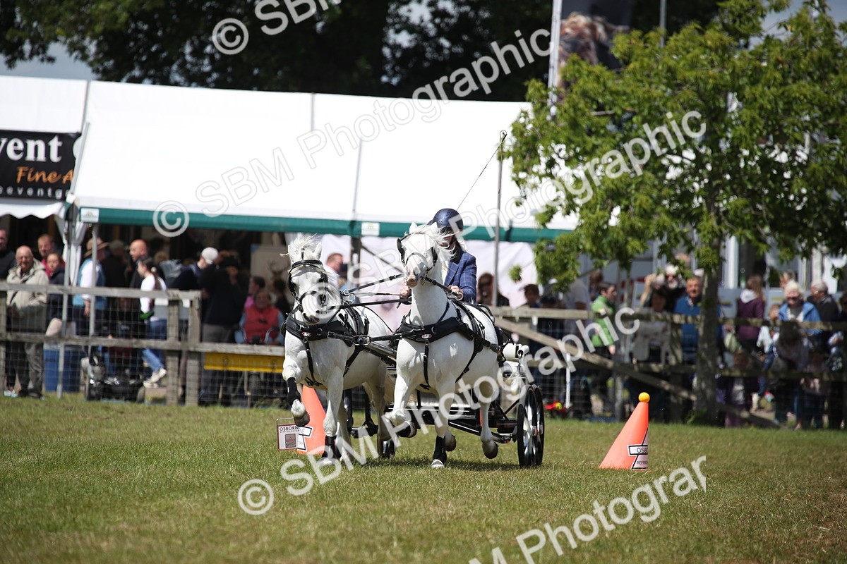 SBM_15366 - Class 90 - Scurry 122cm and Under