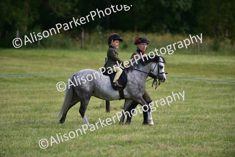 20260614-1122 - Class 11a - Lead Rein Pony (Unplaited)