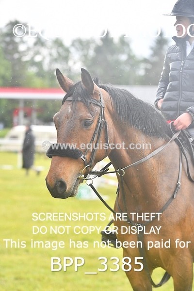 BPP_3385 - CLASS 5 SENIOR BR NOVICE/90CM OPEN