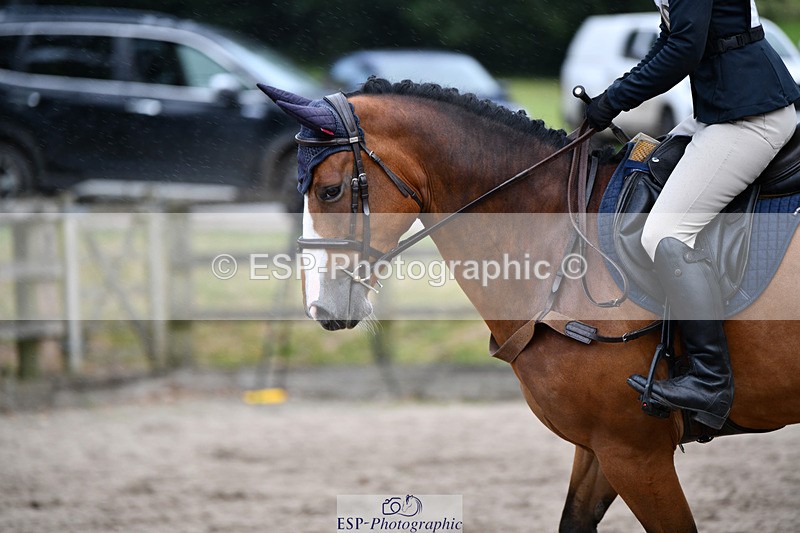 240825X-172927-37051 - 80cm SJ 16.00 to 17.26