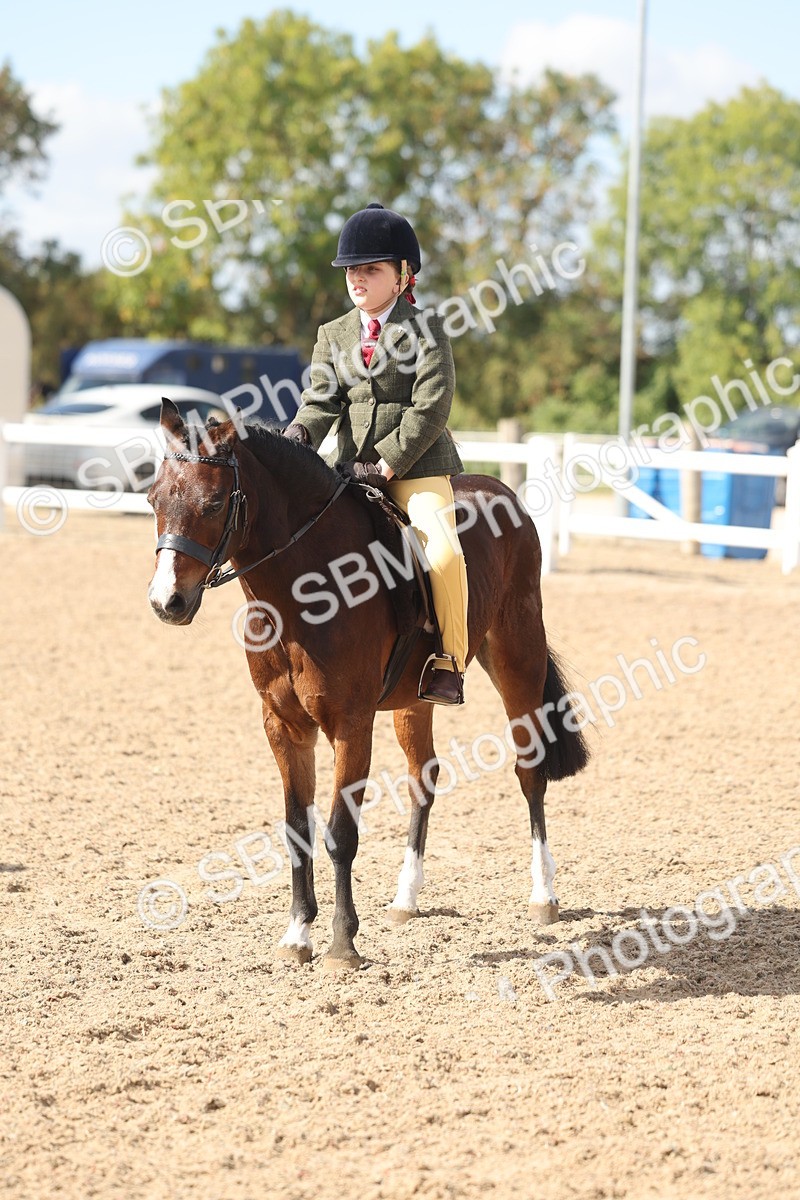 SBM_23175 - Class 806 - Young Rider 10ry and Under