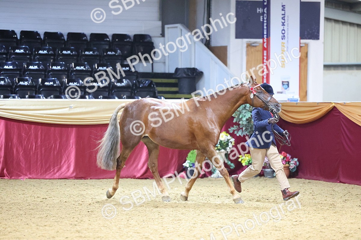SBM_20825 - Class 902 - Supreme Final IH Veteran