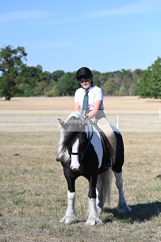 WJ7_2133 - Class 44 Child's Best Friend