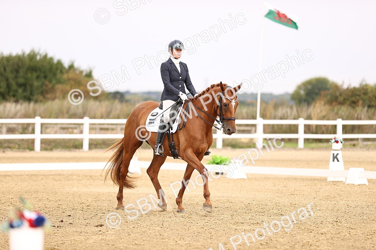 SBM_011642 - Class 1 - Medium 5