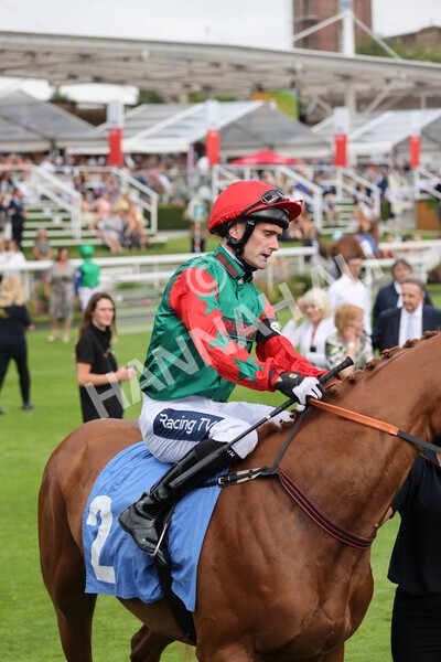 yr24072021r7-17 - Race 7 5.35pm The Sporting Life Fast Results Stakes