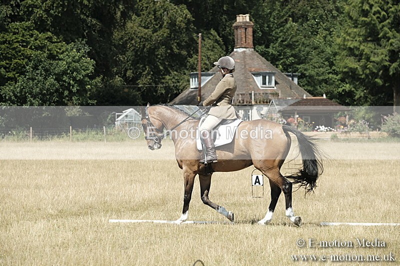 _PJP5882 - Dressage Classes BVRC Show 2018
