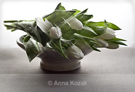 Dish of tulips - Flowers