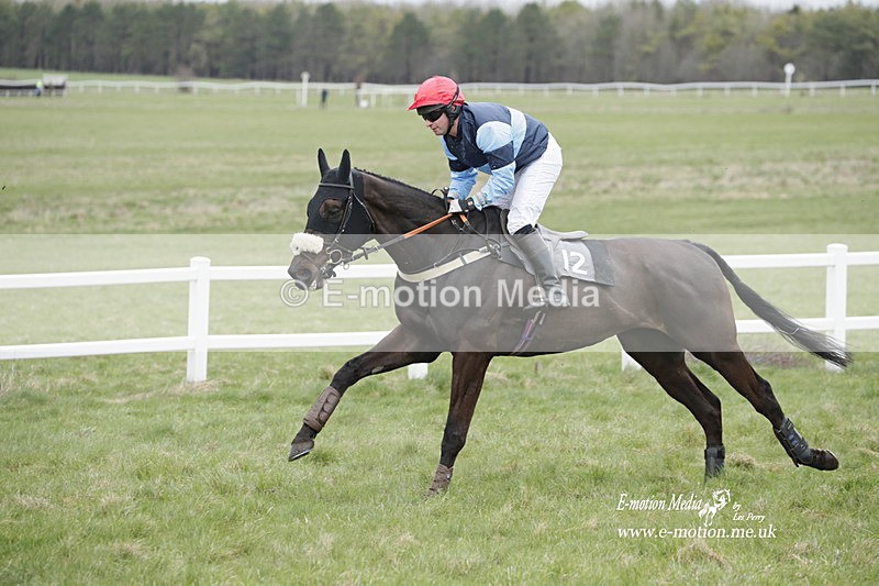 PtP 260323 0478 - New Forest Hounds Point-to-Point Larkhill 26/03/23