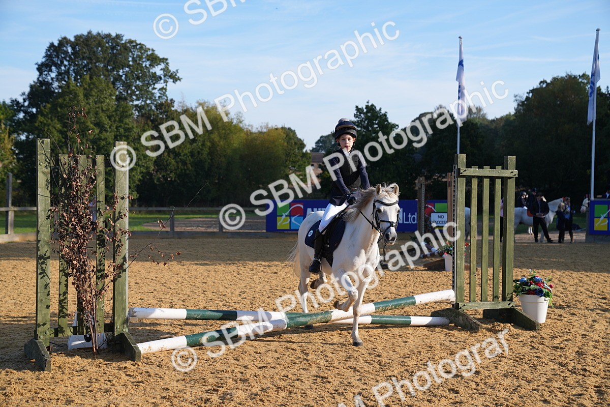 SBM_59018 - J63 - Minis Clear Round 30cm 40cm