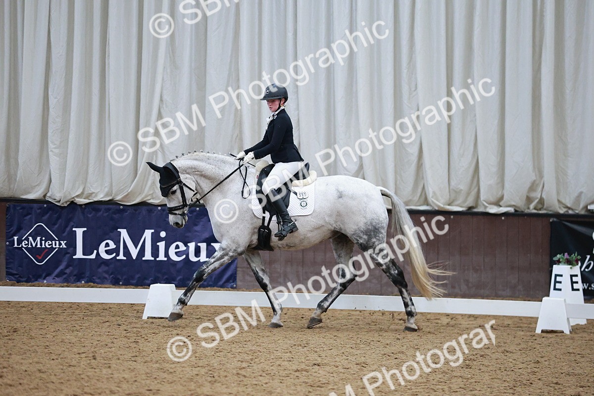 SBM_004525 - Ring 3 - International -  Working Hunter Classes 23-2-25