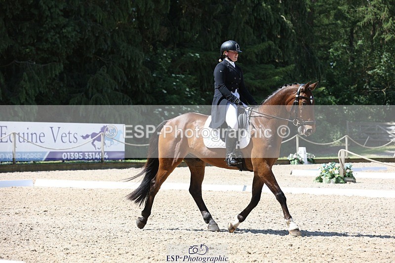 230526-113619-06082 - 154-GELUK_G-Molly_Adams-WEDTrotUp+DR