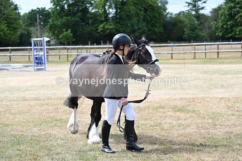 WJ7_1663 - Class 4 Prettiest Mare up to 14.2hh in hand