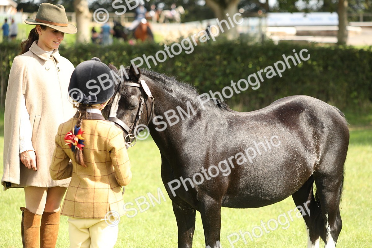 SBM_67799 - S39 - Junior Handler 8  Years & Under