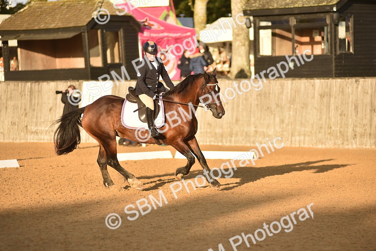 SBM_53517 - D24 - Junior Championship Prelim 3