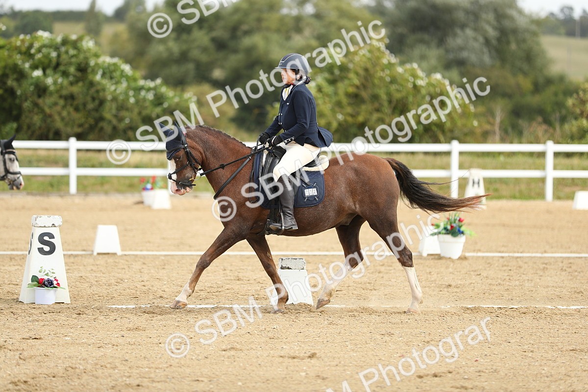 SBM_016295 - Class 13 - Novice 23 - 11.25-12.35