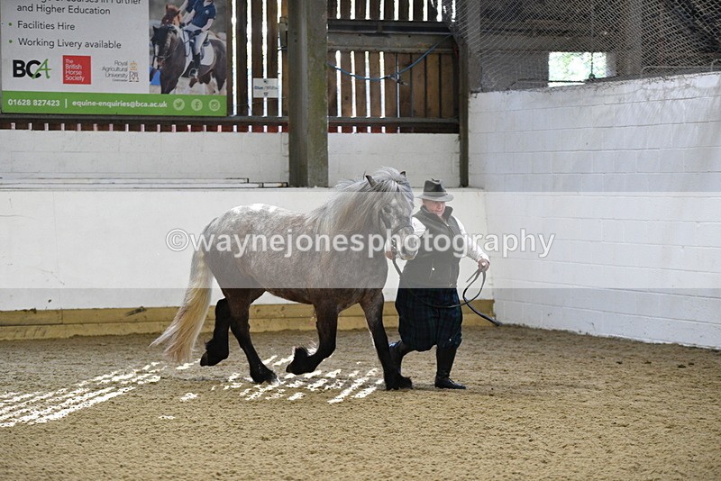 WJ5_3475 - Class 1 Youngstock