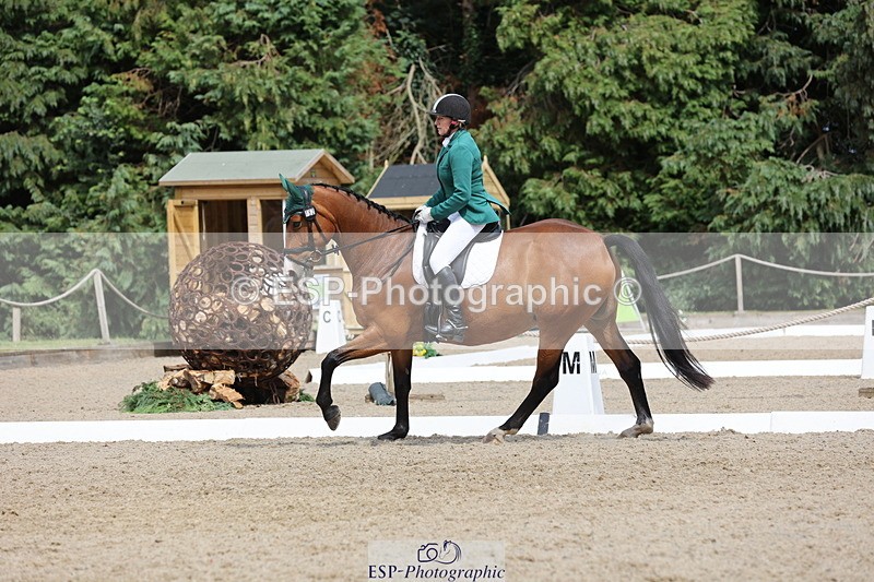 250718A-153059-02591 - 152-Tracy.OKennedy-Wylye.Harlequin