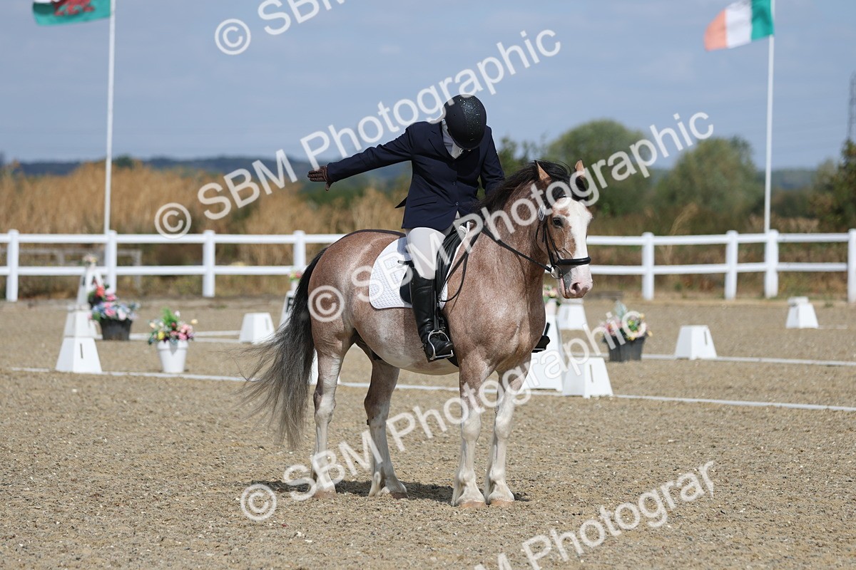 SBM_020910 - Class 21 - M5 Bronze 10.58.12.10