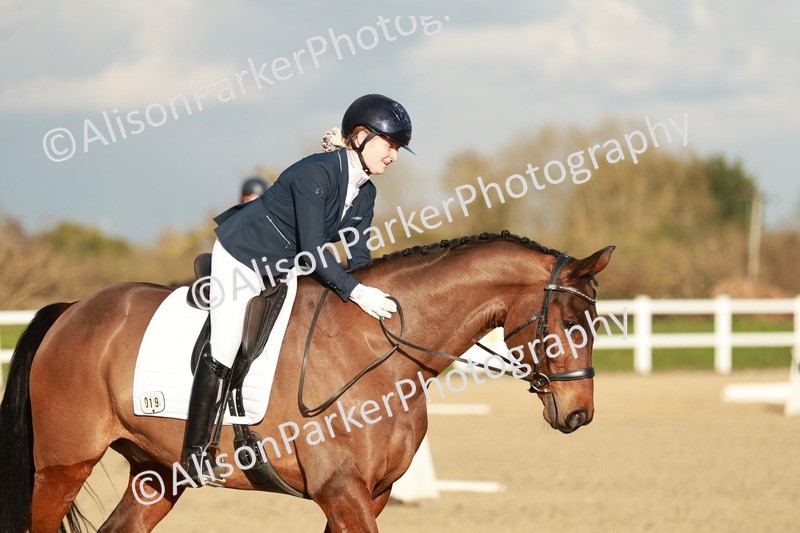 20260314-6315 - CT7 - Elementary 2