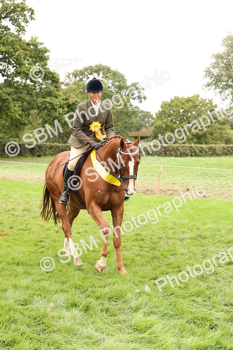 SBM_64353 - S65 - Riding Horse & Hack & Thoroughbred Ridden