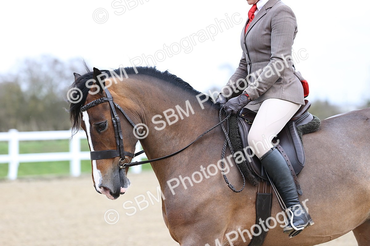 SBM_006961 - Class 29 - 30 - M&M Pure Novice Small-Large Breeds