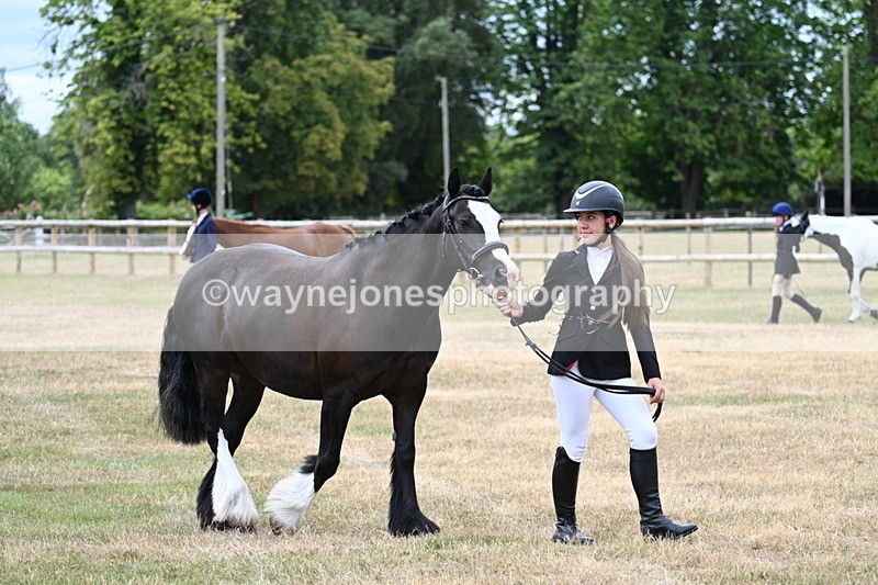 WJ7_1434 - Class 4 Prettiest Mare up to 14.2hh in hand