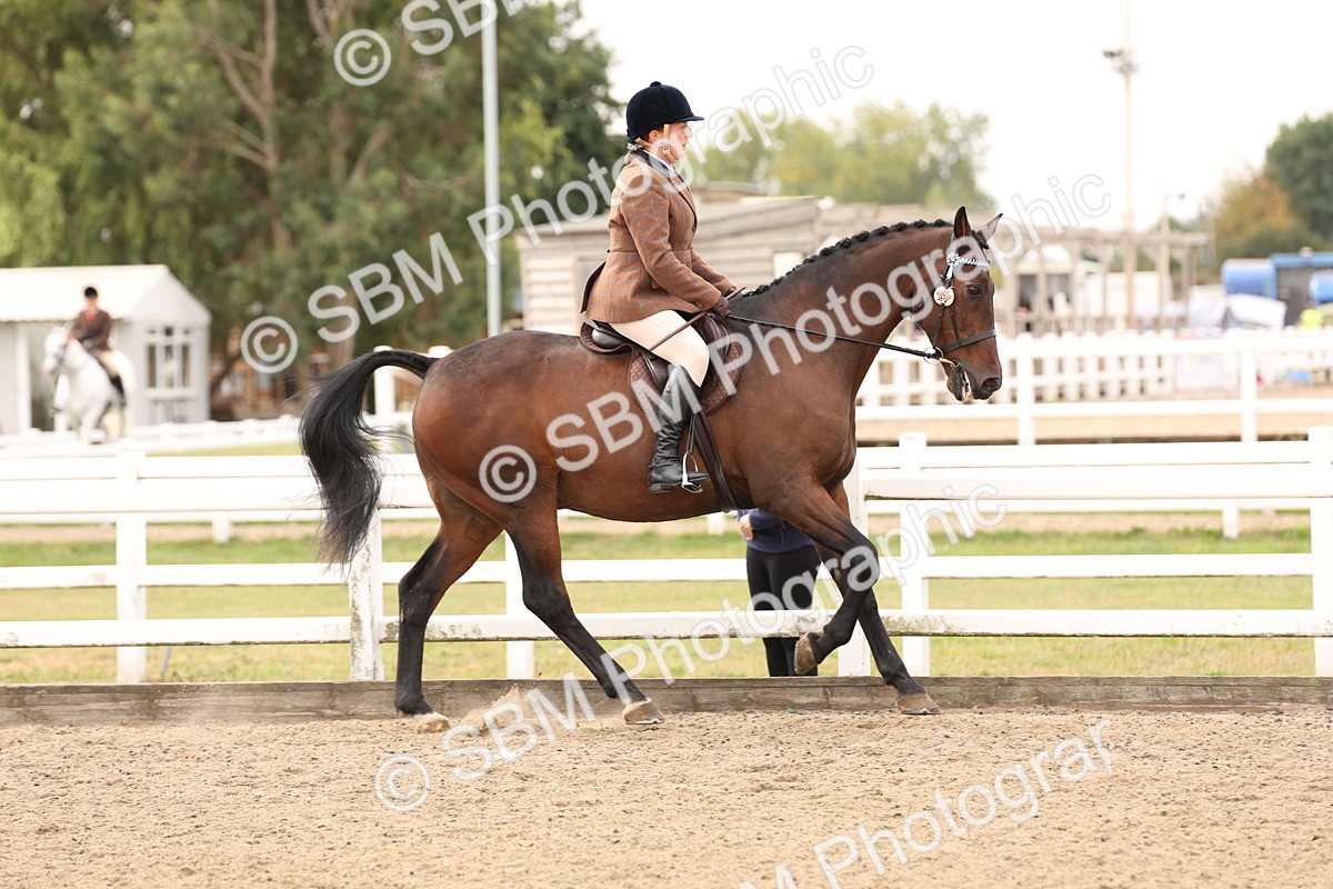 SBM_02820 - Class 53 - Ridden Competition Horse/Pony
