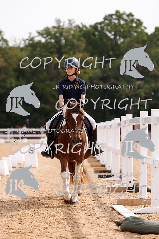 _R6A2297 - Dressage Morning
