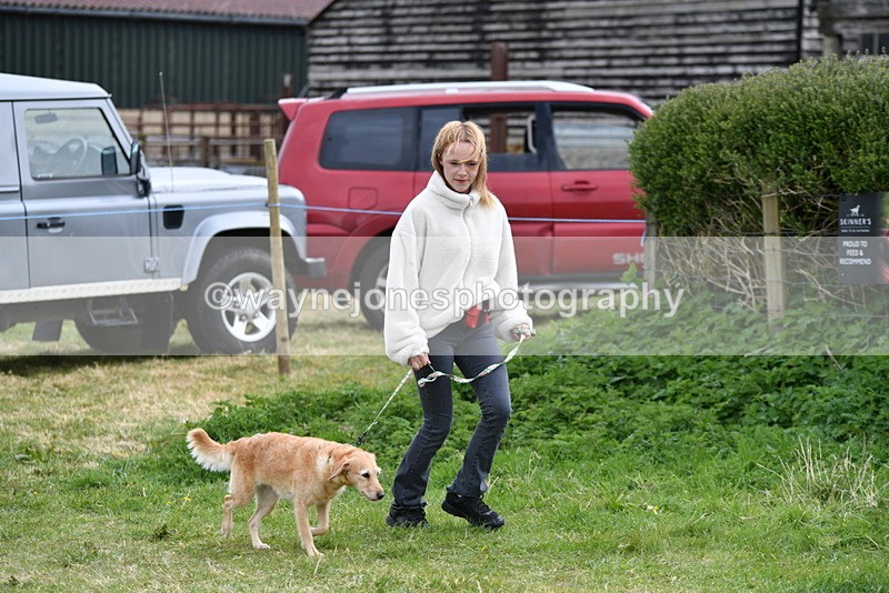 WJ5_9200 - Class 1 Best Cross Breed / Heniz 57