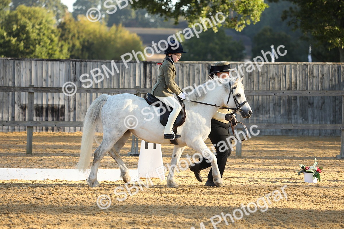 SBM_33596 - D26 - Starers - Lead Rein