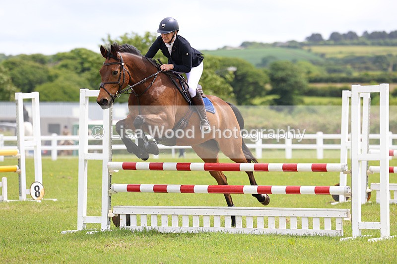 3E7A7278 - Class 13: Senior British Novice/90cm open