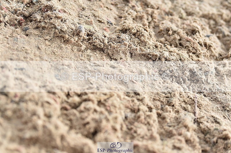 231013A-105242-01411 - Cls 1 85cm Amateur Quali