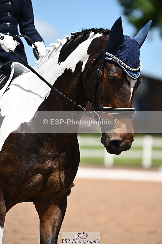 240621A-135704-04190 - Cls 8 BD Elementary 53