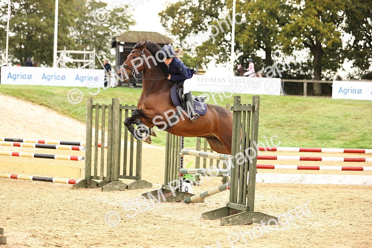 SBM_58508 - J41 - Grand Tour Horse & Pony 95cm